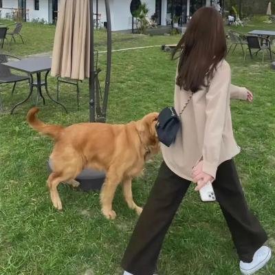 狡猾的兔小姐